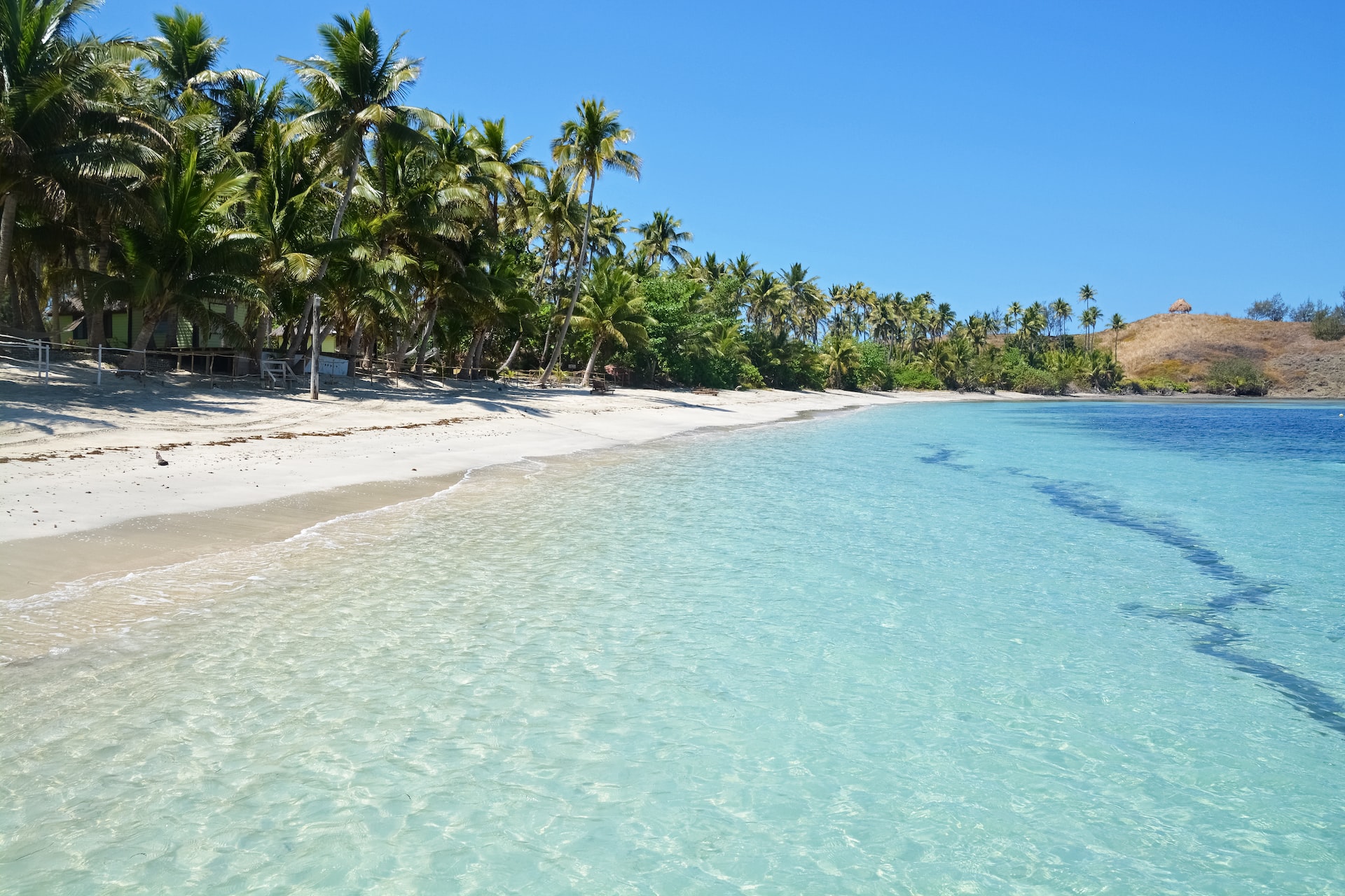 fixer fiji